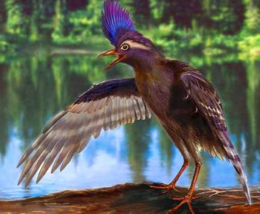 Archaeornithura meemannae.jpg