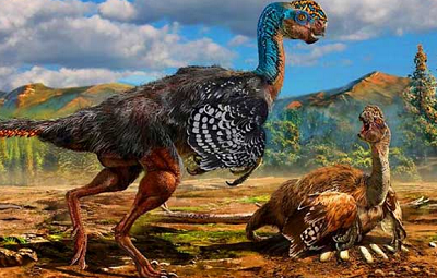 Huanansaurus ganzhouensis.png
