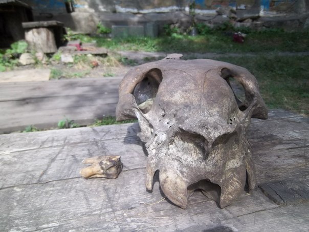 MZUZs1436u4.jpg