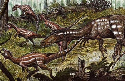 tachiraptor.jpg
