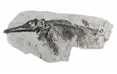 anningae.jpg